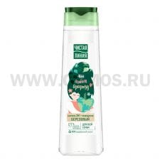 Чистая Линия 400мл Шампунь БЕРЕЗОВЫЙ Д/ВСЕЙ СЕМЬИ