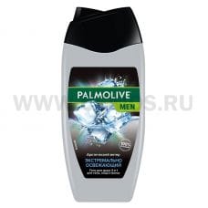 ЧЗ Гель д/душа Palmolive 250мл MEN Арктический ветер